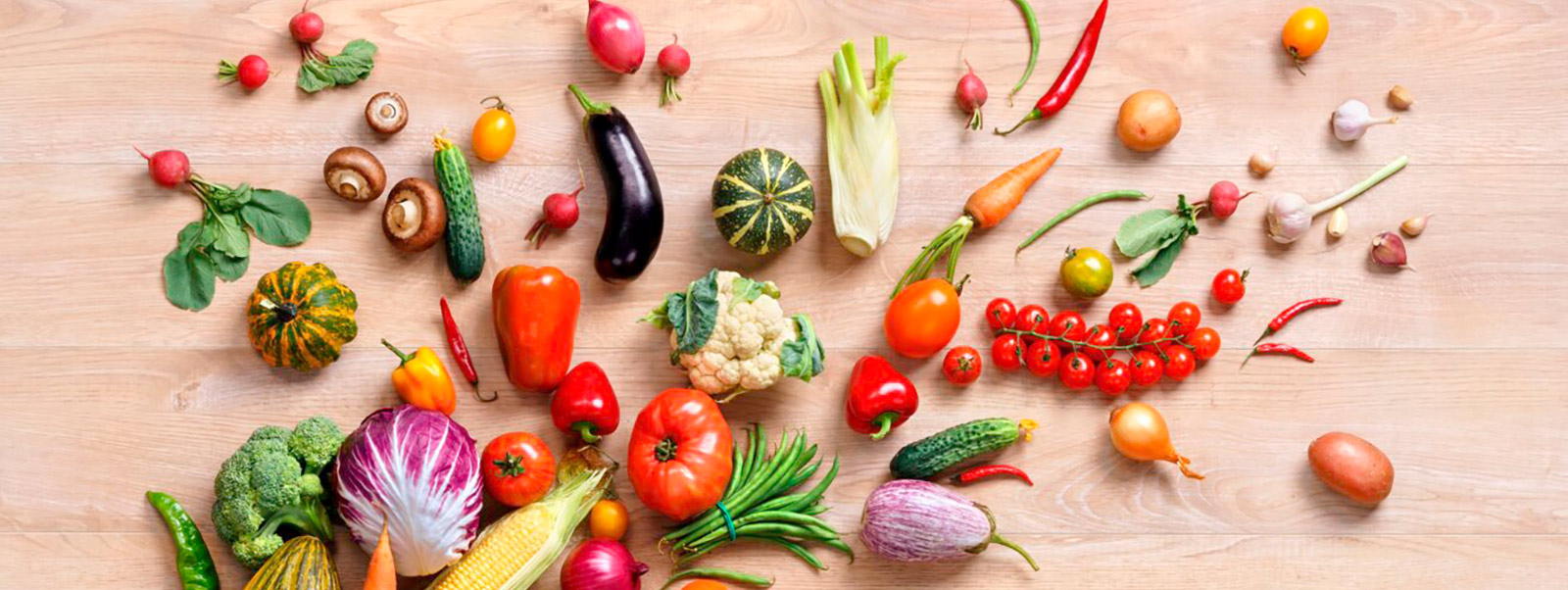 apetito_Ernaehrungslexikon_Wissen von A bis Z