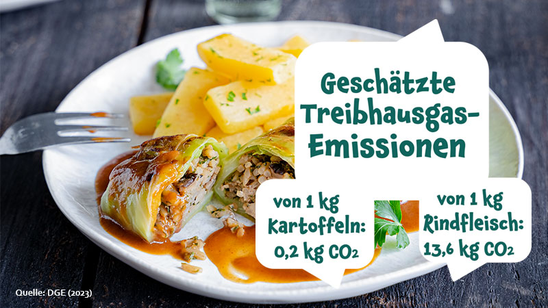 geschätzte Treibhausgas-Emissionen Bild