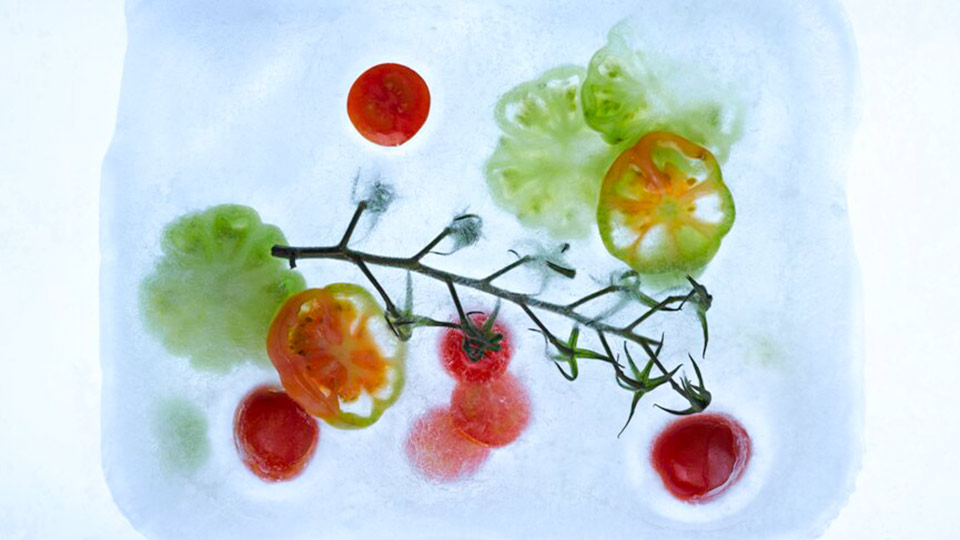 apetito_Magazin_Tag-der-Tiefkuehlkost_gefrorenes-Gemuese