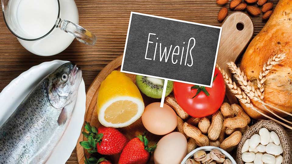 apetito-Magazin_Eiweiss_wichtiger-Baustein-in-der-Ernaehrung