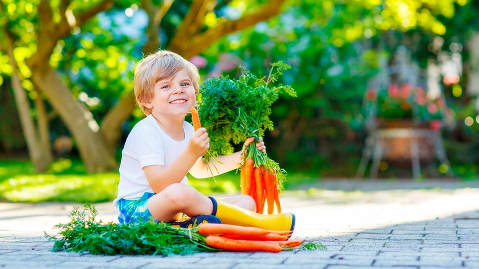 Nachhaltigkeitsstrategie