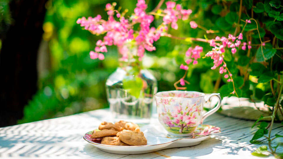 apetito-Magazin_Teetasse-im-Garten