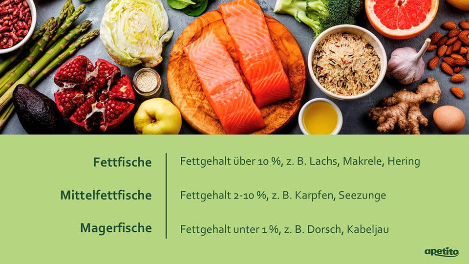 apetito-Magazin_Infografik_Fett-, Mittelfett- und Magerfische