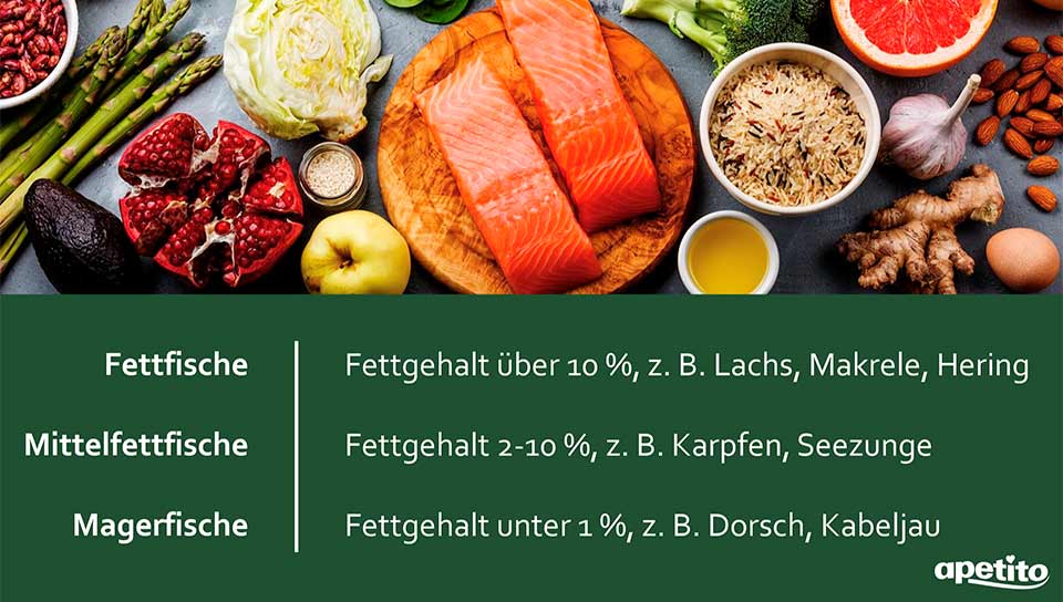 apetito-Magazin_Infografik_Fett-, Mittelfett- und Magerfische