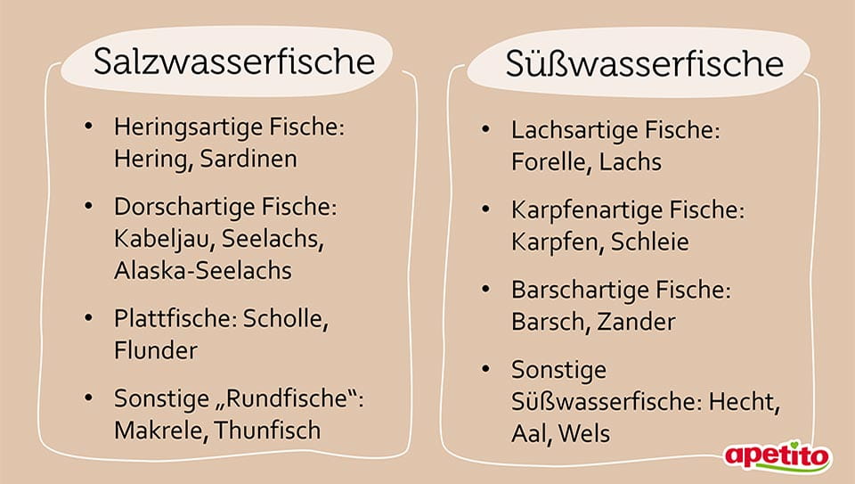 apetito-Magazin_Infografik_Salz- und Suesswasserfische