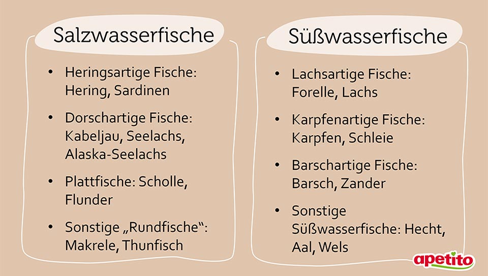 apetito-Magazin_Infografik_Salz- und Suesswasserfische