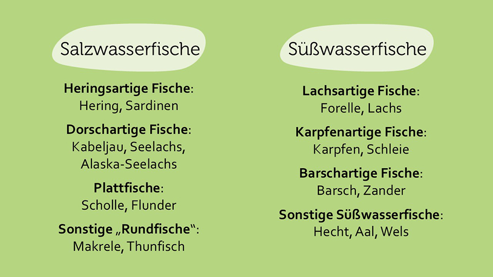 apetito-Magazin_Infografik_Salz- und Suesswasserfische