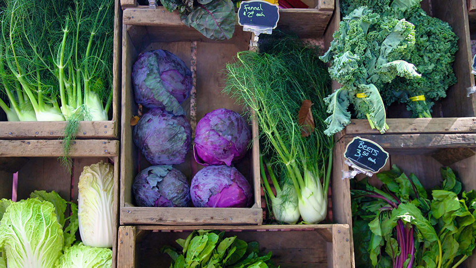 apetito-Magazin_Wintergemuese