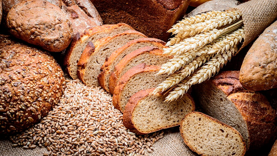 Verschiedene-Brote-Getreideaehren-und-Getreidekörner-auf-einer-Decke