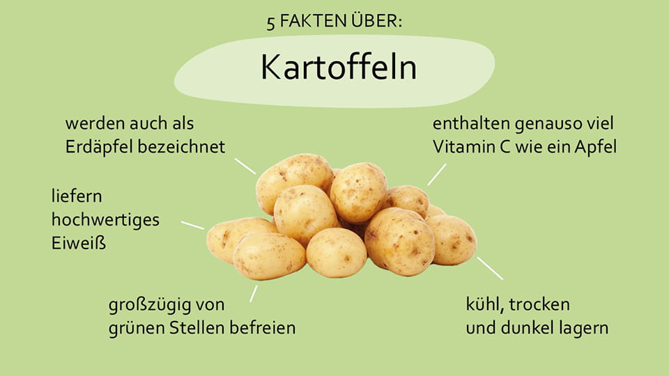 apetito-Magazin_Kartoffel_Fakten