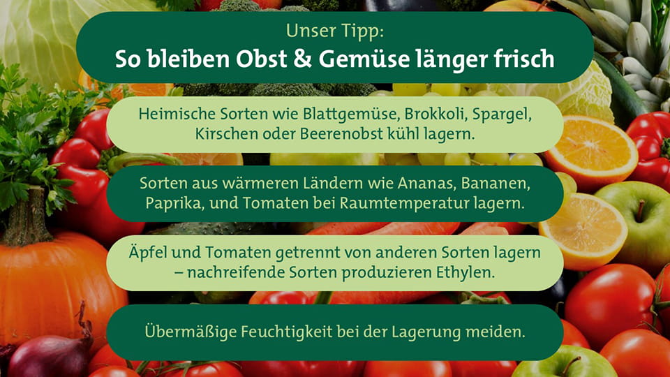 apetito-Magazin-Lagerung-Obst-und-Gemuese-So-bleibt-es-frisch