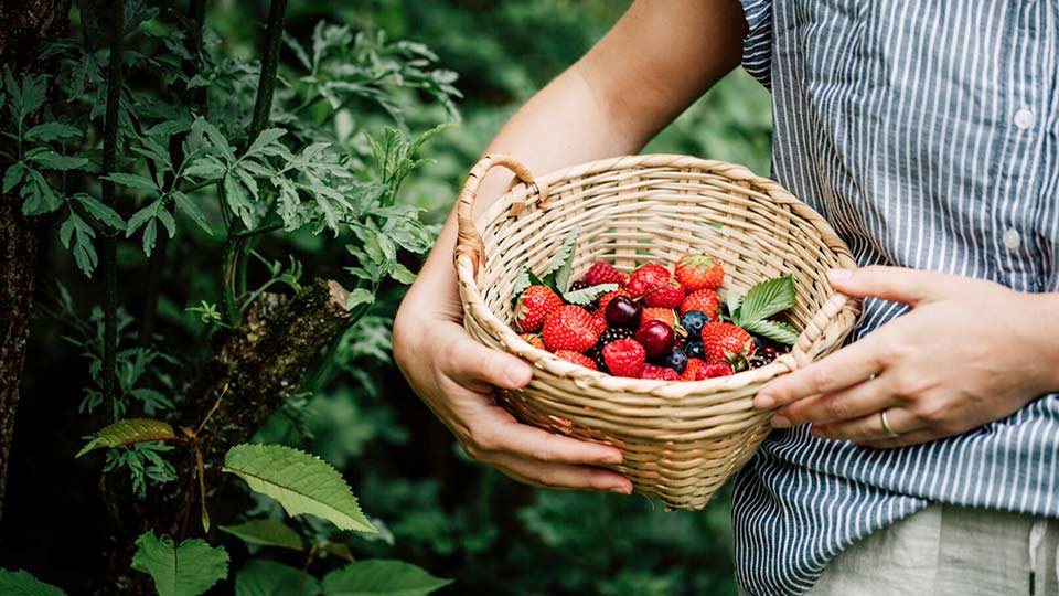 Nachhaltigkeitsstrategie