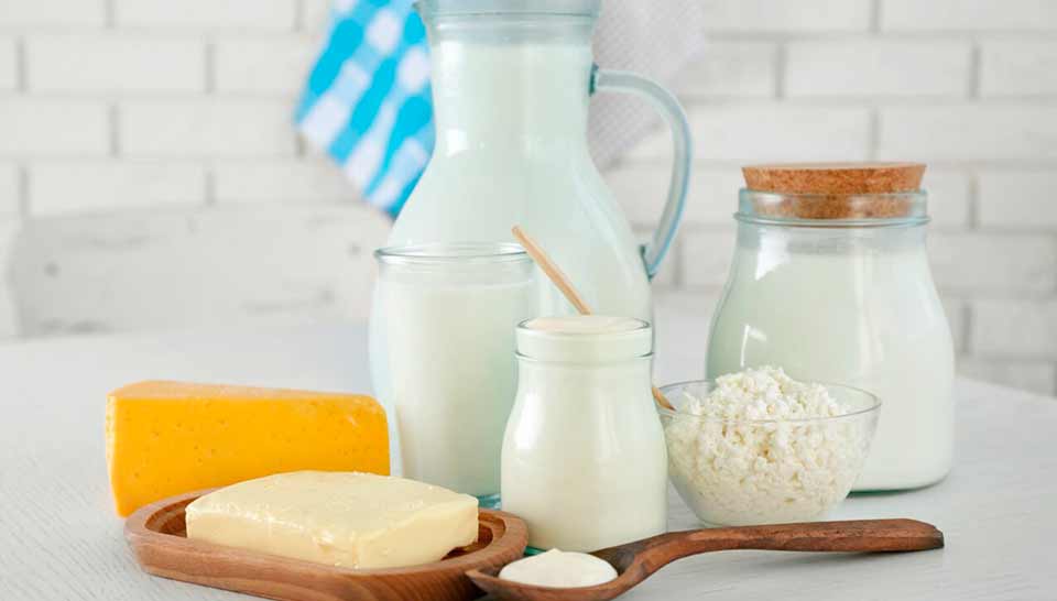 apetito-Magazin_Milch und Milchprodukte