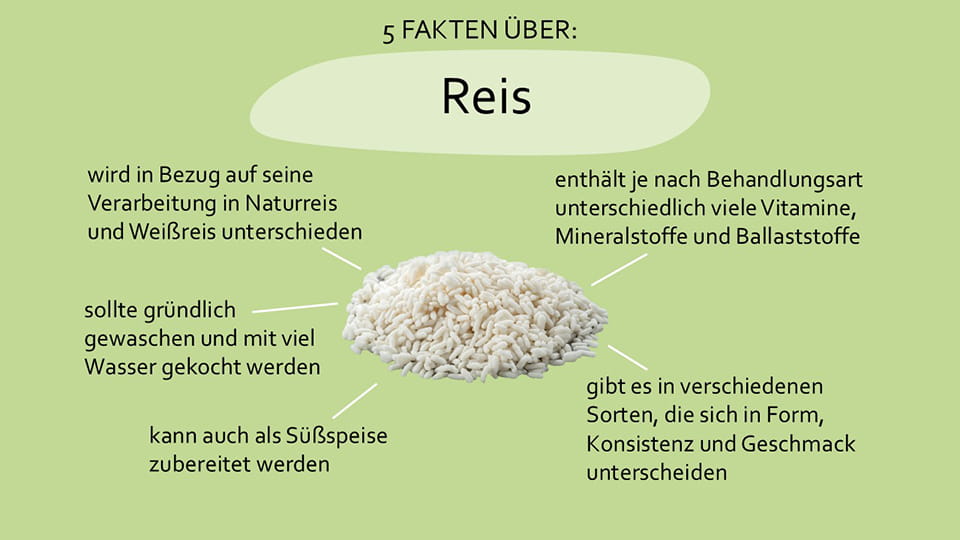apetito-Magazin_Lebensmittelfakten Reis