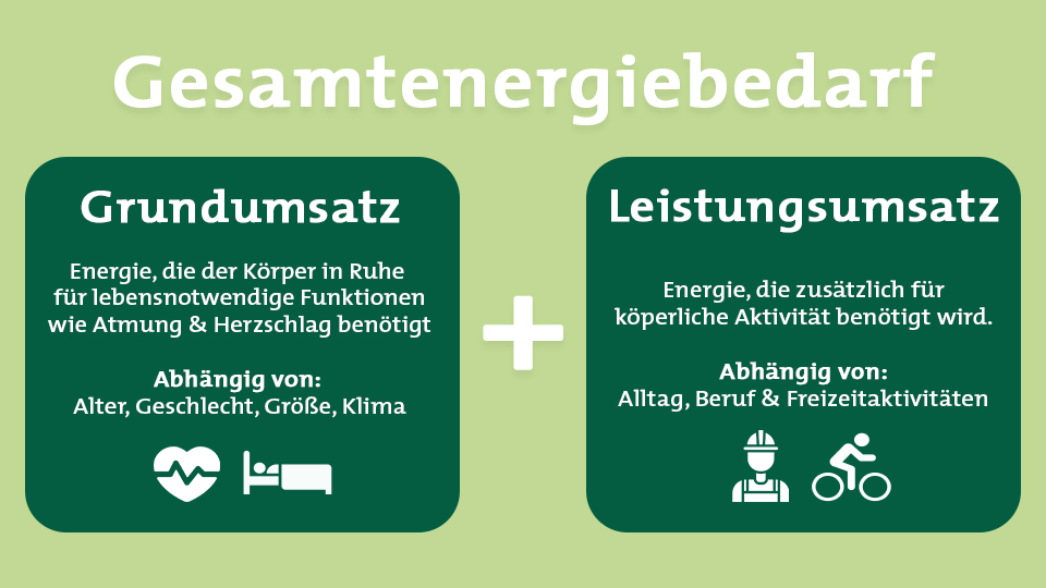apetito-Magazin_Seniorenernaehrung_Gesamtenergiebedarf