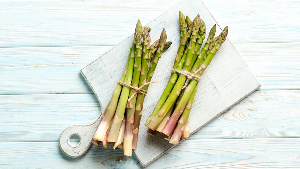 apetito-Magazin_Spargel