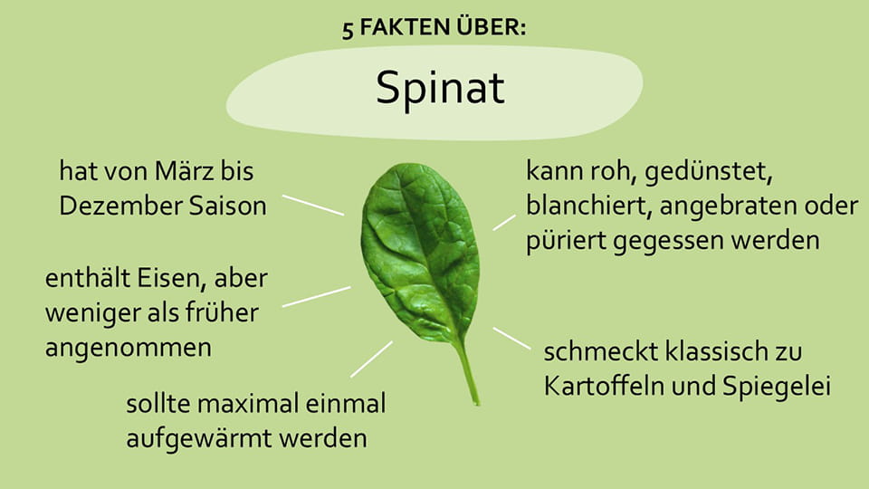apetito-Magazin_Lebensmittelfakten-Spinat