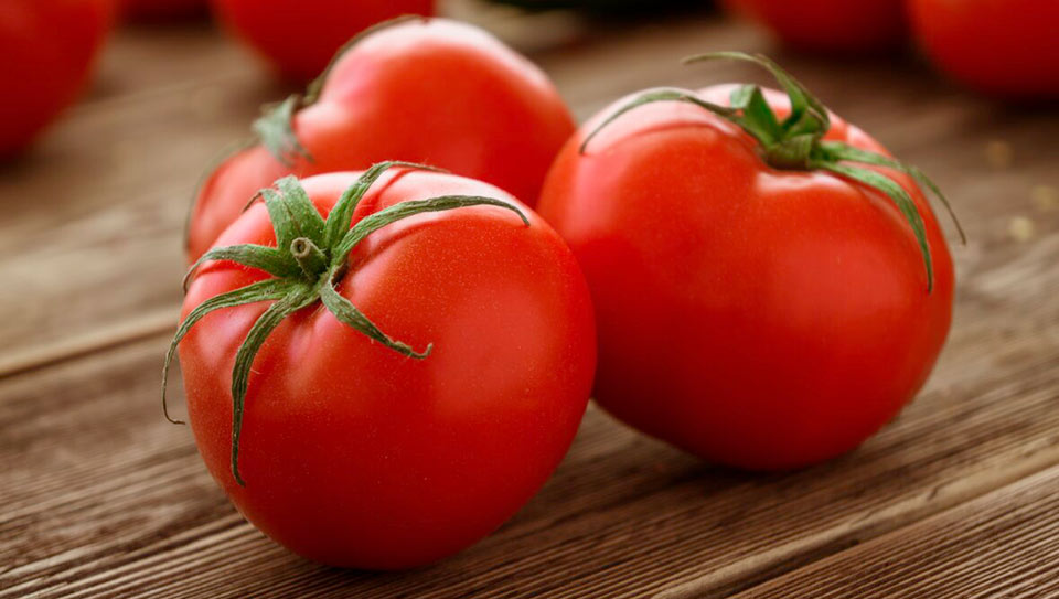 apetito-Magazin_Tomaten
