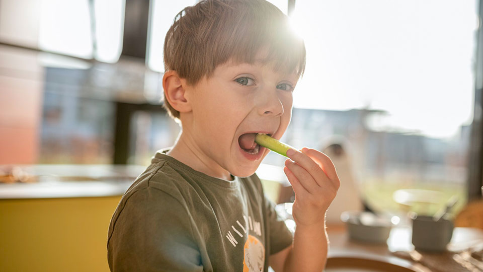 apetito-Magazin_Junge-mit-Rohkost