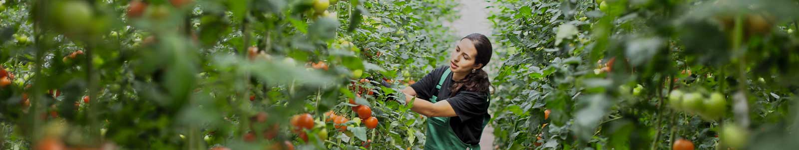Rundum Nachhaltigkeit 2023