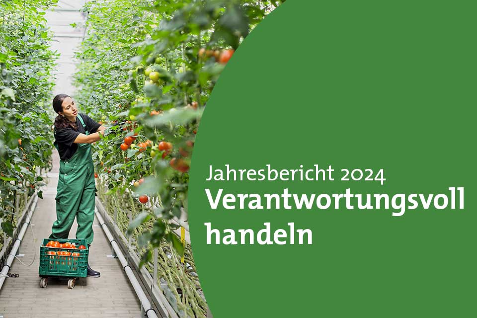 Jahresbericht 2024 - Verantwortungsvoll handeln