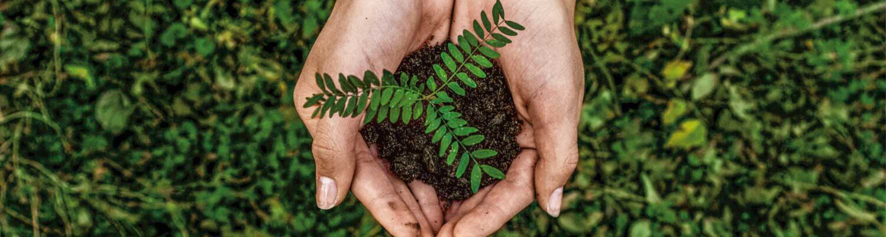 Nachhaltigkeit bei apetito