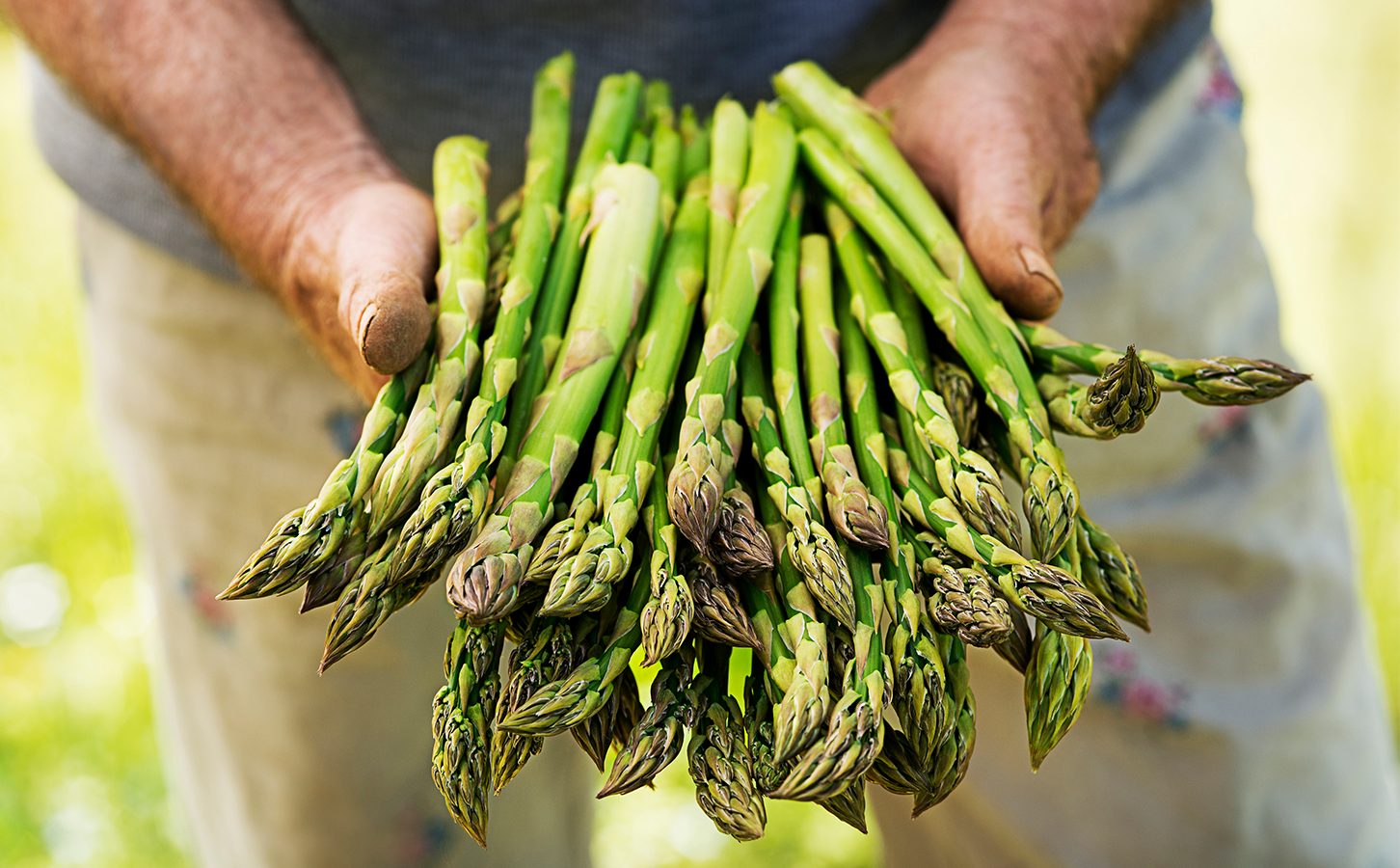 Spargel_Zutatenherkunft