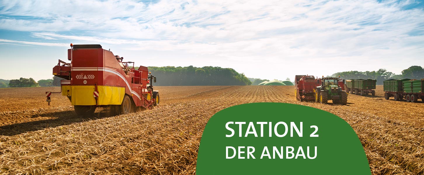 Vom Feld zum Teller: Station 2 - Der Anbau