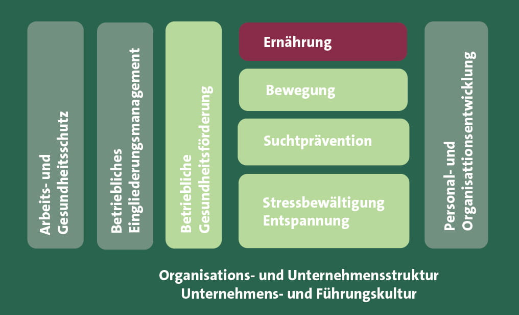 Grafische-Darstellung-des-Betrieblichen-Gesundheitsmanagements-mit-dem-Baustein-Ernaehrung-innerhalb-der-Betrieblichen-Gesundheitsfoerderung