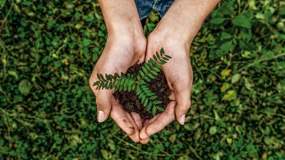 betriebe-produkte-nachhaltigkeit