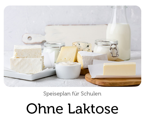 schulverpflegung-apetito-ernaehrung-laktose