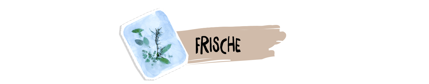 schule_apetito_ueberschrift_frische