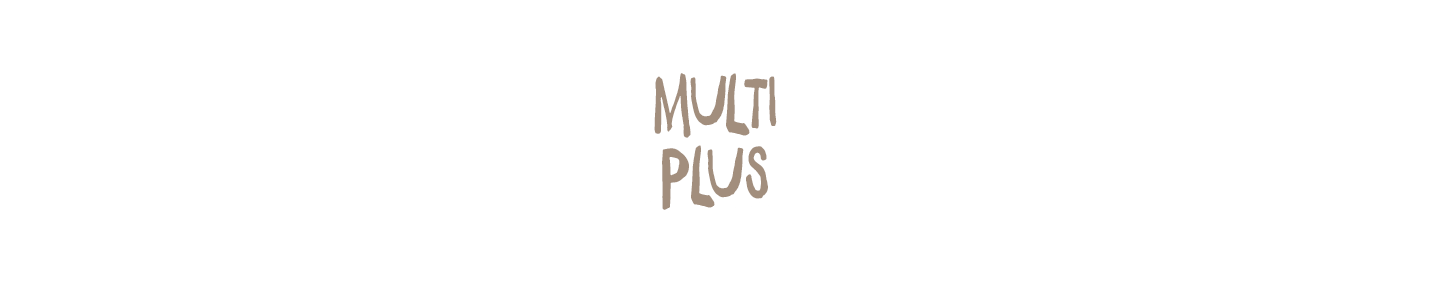 schule_ueberschrift_multiplus