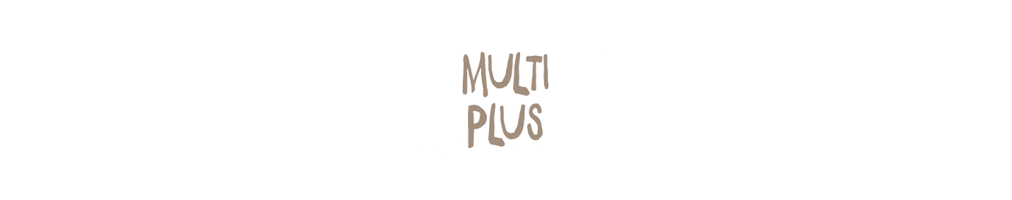 schule_ueberschrift_multiplus