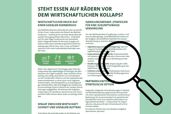 Teaser Whitepaper MZD